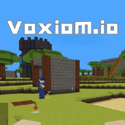 Voxiom.io Voxiom.io
